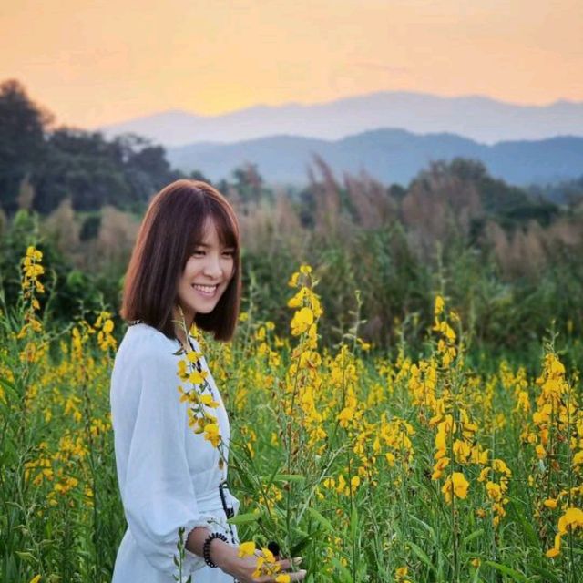 หน้าหนาวกำลังเข้ามาแล้ว ไปเที่ยวเชียงรายกันเถอะ