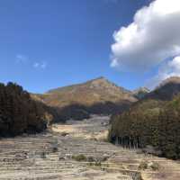 四谷の千枚田