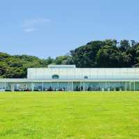 神奈川県　横須賀美術館