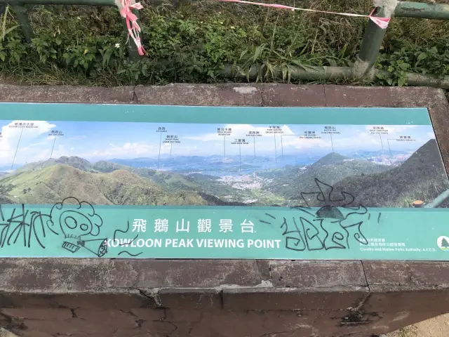 睇到半個九龍景色的飛鵝山😍