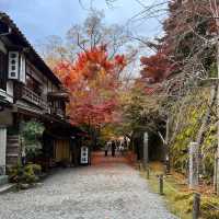 【京都】紅葉が美しい京都のパワースポット