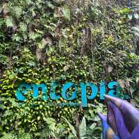 entopia penang 
