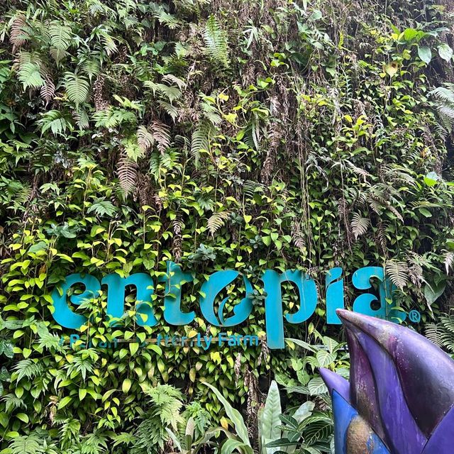 entopia penang 