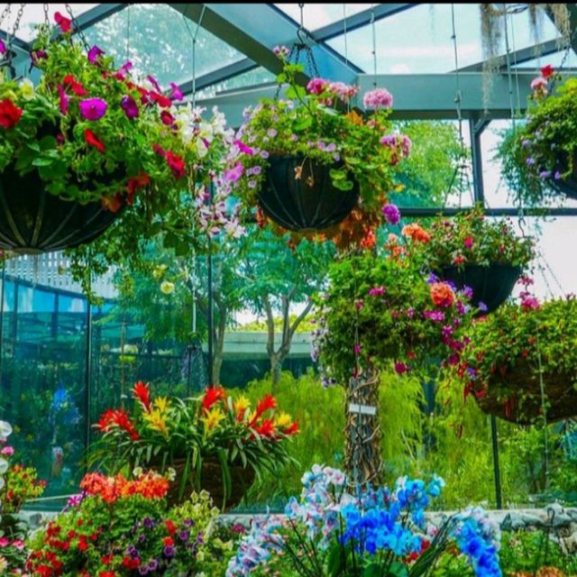 Floral Fantasy at Gardens by the Bay 