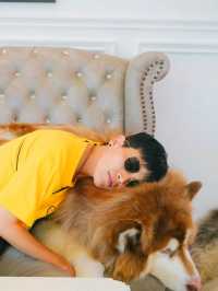 Husky House Cafe ชลบุรี