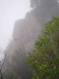 香港行山丨 登頂賞360度無敵景📍獅子山