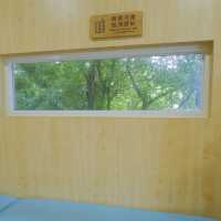 深圳鹽田區週末遊，燈塔圖書館打卡一流