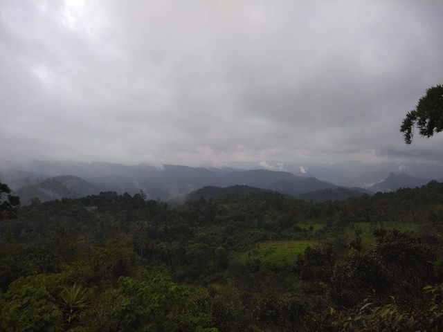 Munmar - Misty Hill Station 