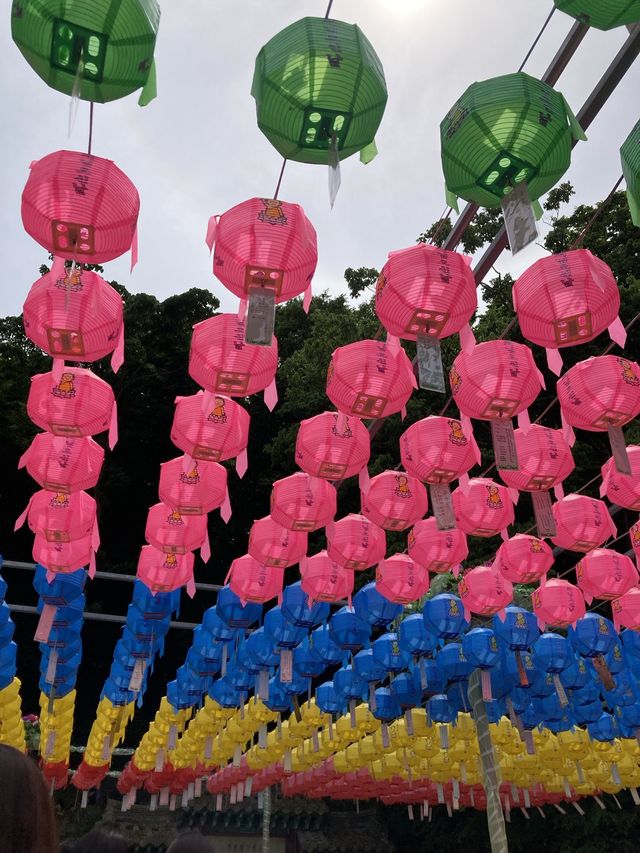 경주 세계유산 여행지 경주 세계유산 여행지