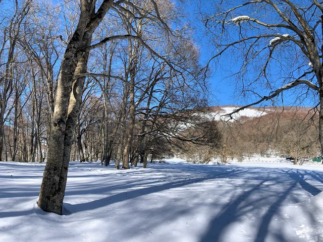 Good Food and Snow in Pescocostanzo 🇮🇹 