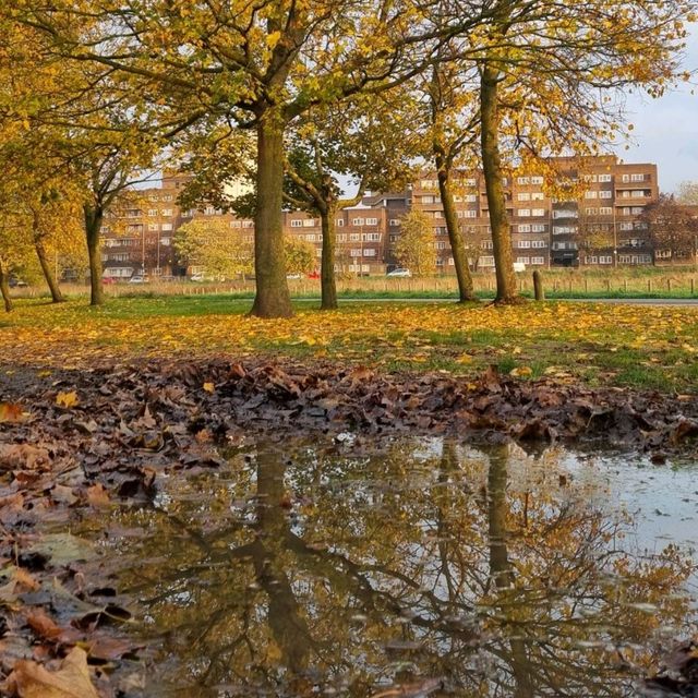 Fall in London  🍂 