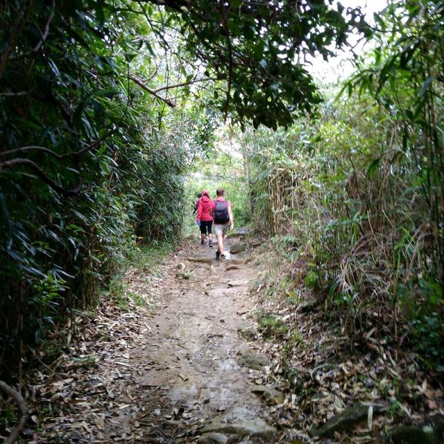 Hong Kong hiking dream