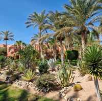 Magical stay at Magic World Sharm