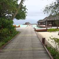 Nice time in Luxury Resort 