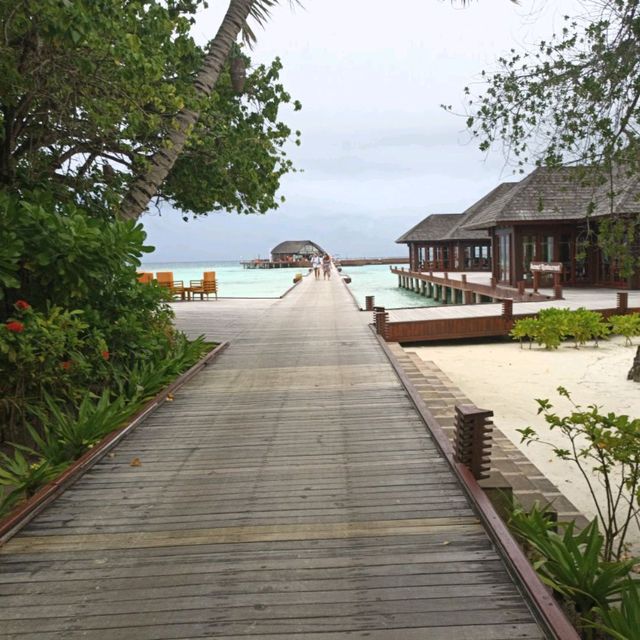 Nice time in Luxury Resort 