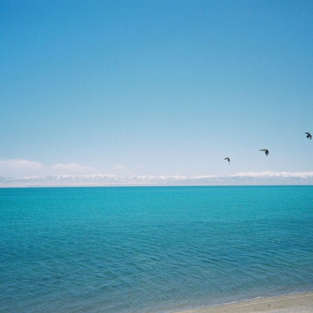 The Great Lakes of Qinghai