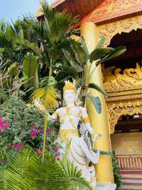 Manting Park, Xishuangbanna 