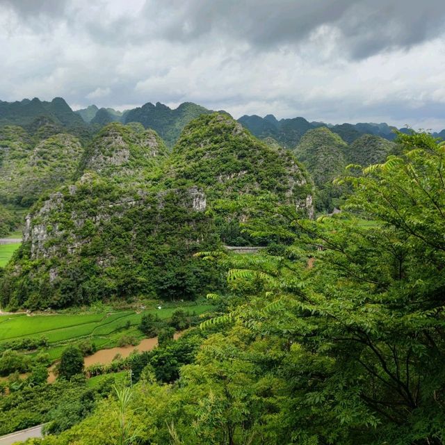 The Ten-Thousand Peak Forest