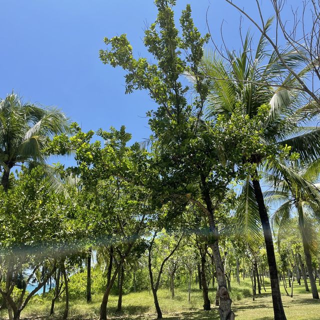 Lovely quiet beach ~Coconut Dream Corridor 