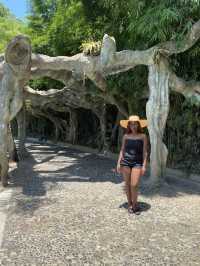 ELEPHANT 🐘 TRUNK HILL IN GUILIN