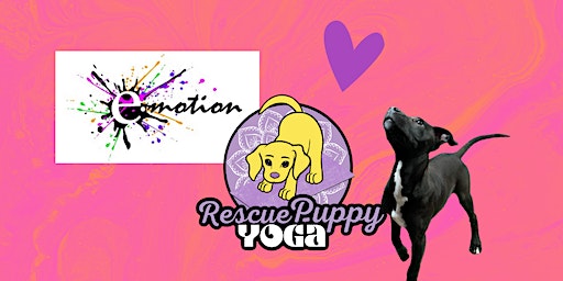 Rescue Puppy Yoga - Emotion Fitness | 9140 W 100th Ave