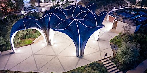 Cochineala - A Creative Confluence Festival (Bioluminescence) | Confluence Park