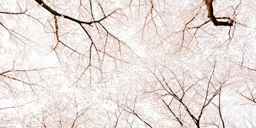 SANTAI SWARA – A MULTI INSTRUMENTS SOUNDBATH | SPACE2B