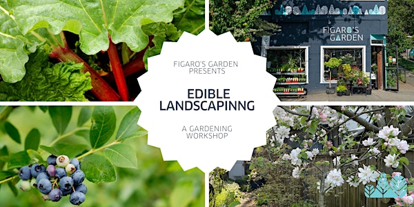Edible Landscaping | Figaro's Garden