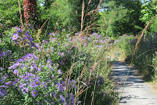 Botanical Plant Walk at the Ridgewood Reservoir | Ridgewood Reservoir