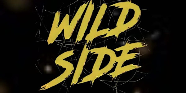 ‘WILD SIDE’ | Alloa Town Hall