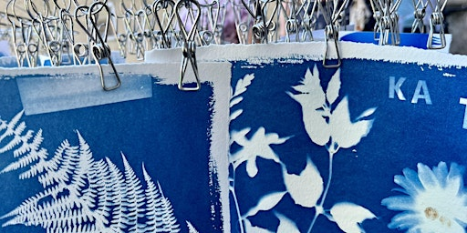 Botanical Cyanotypes and Bookmaking | The Craft House