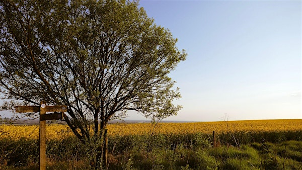 South Downs National Park Nature Hike (from Belfast) | Belfast International Airport