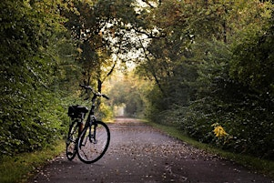 Bike Tribe Community - Ride the Stress Away | 4121 Blue Ridge Rd, Raleigh, NC 27612: House Creek Greenway Trail - Park right behind the McDonalds in the gravel lot.