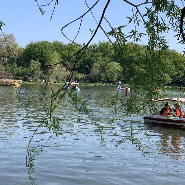 Nanjing Zhongshan Botanical Garden