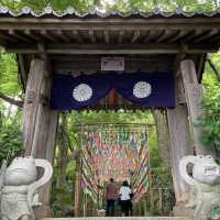 福岡県❣️かえる寺で人気のHAPPY寺！