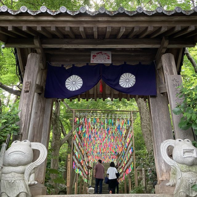 福岡県❣️かえる寺で人気のHAPPY寺！