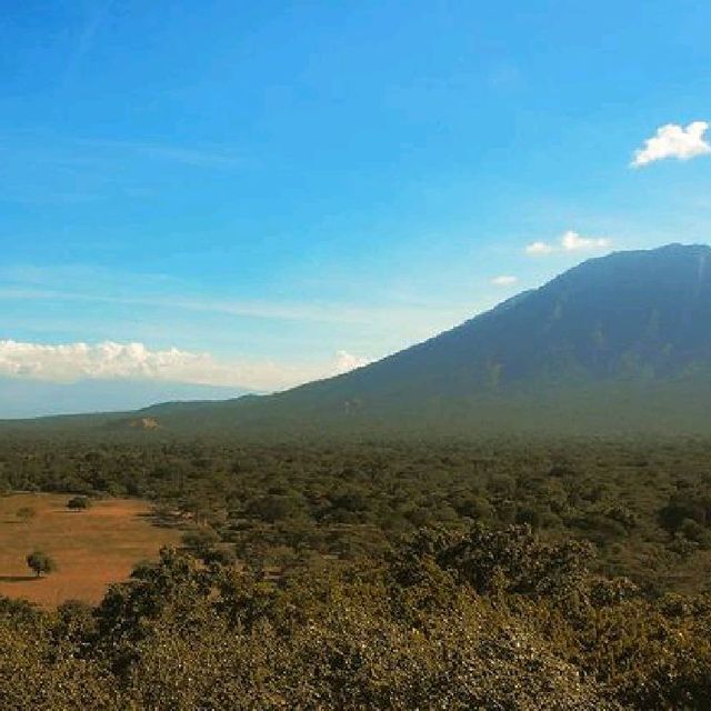 BALURAN NATIONAL PARK, BANYUWANGI