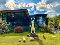 🐇 ร้านโพรงกระต่าย Rabbit Hole AT Phuket🐇