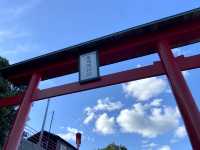 山口観光⛩赤青緑のコントラストが美しい👏👏【元乃隅神社】