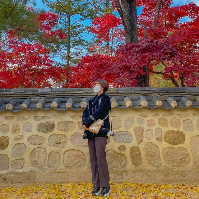 서오릉 산책 한 바퀴