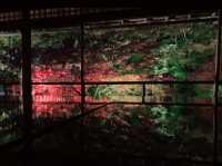 京都[紅葉めぐり]   幻の紅葉　瑠璃光院