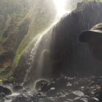 Winsome Waterfall Madakaripura