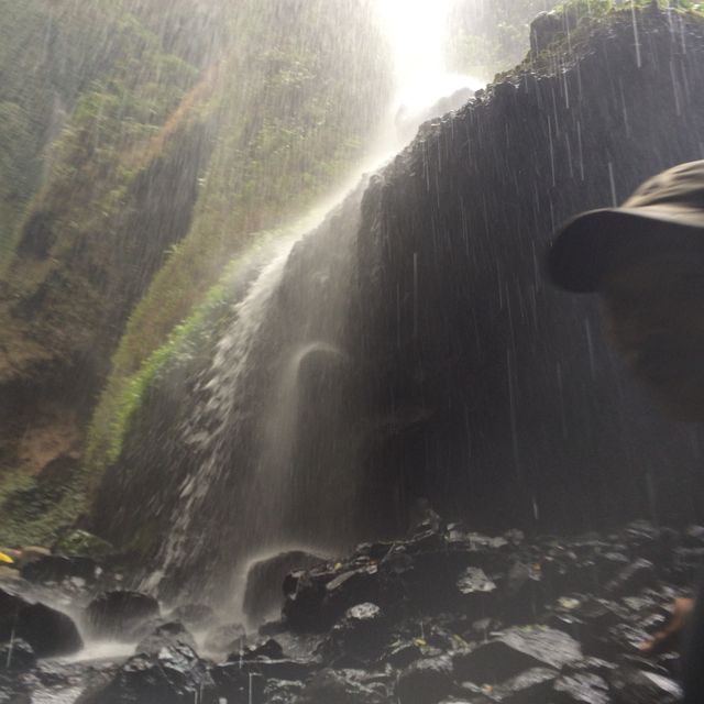 Winsome Waterfall Madakaripura