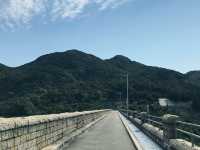 大欖郊野公園