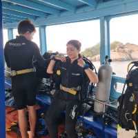 Scuba diving at Koh Tao