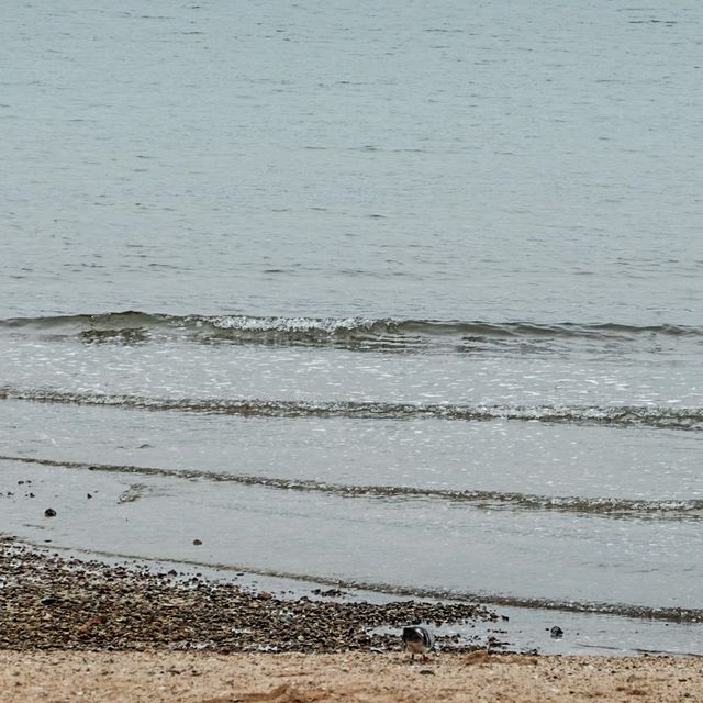 無敵海景 烏溪沙沙灘