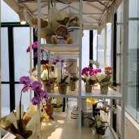 Afternoon tea @ The Majestic Hotel 