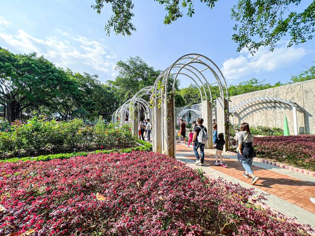 花花世界 玫瑰園