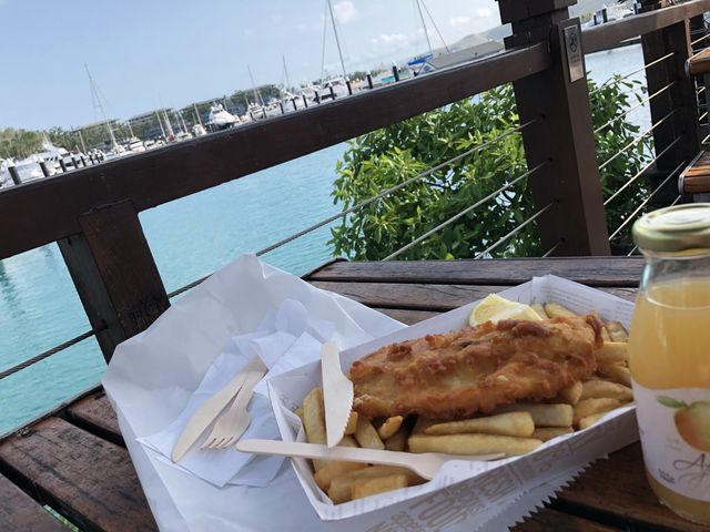 オーストラリア🏝ハミルトン島②