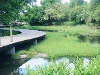 香港濕地公園
